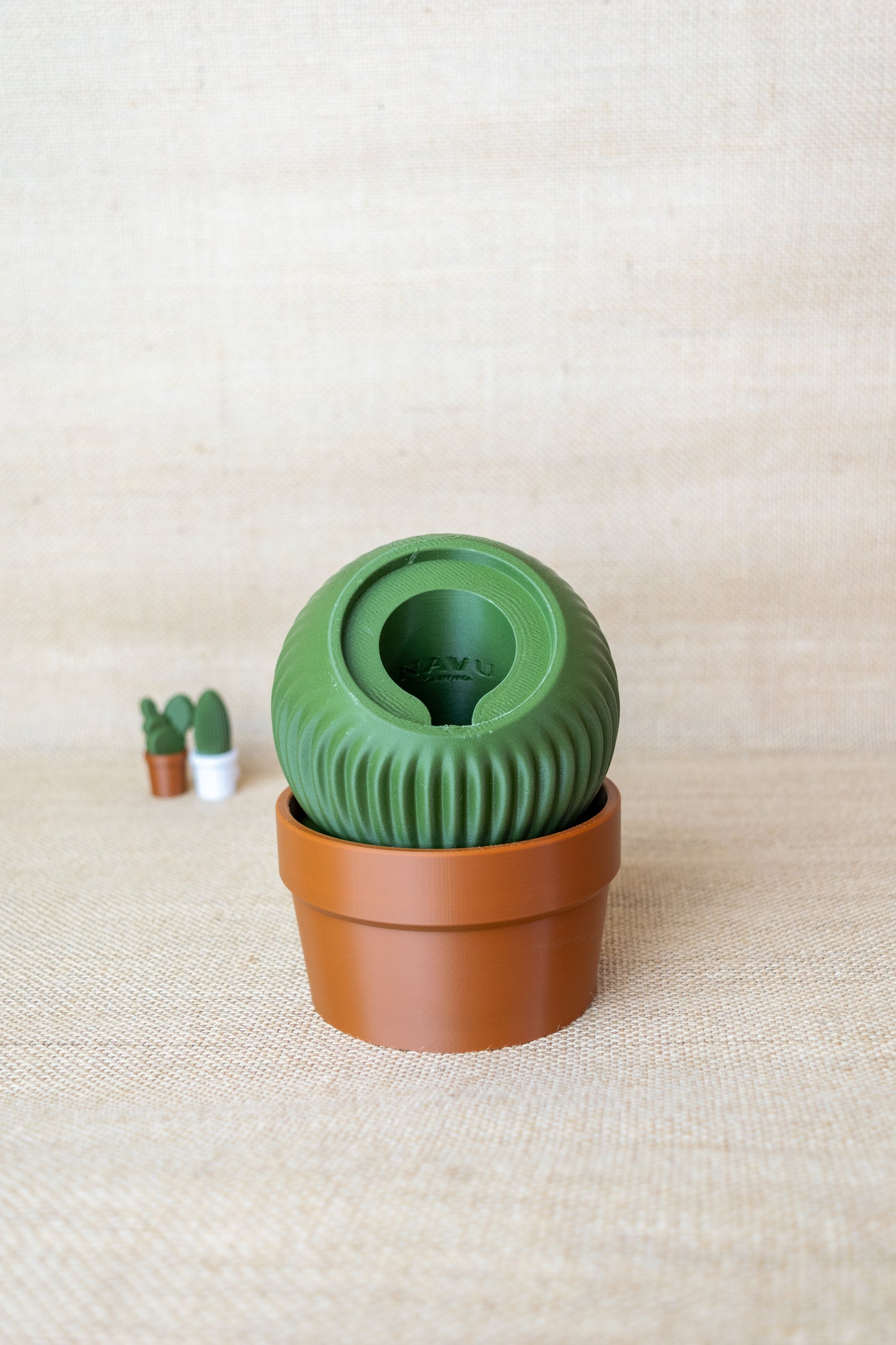 Cactus Mag-Safe Holder