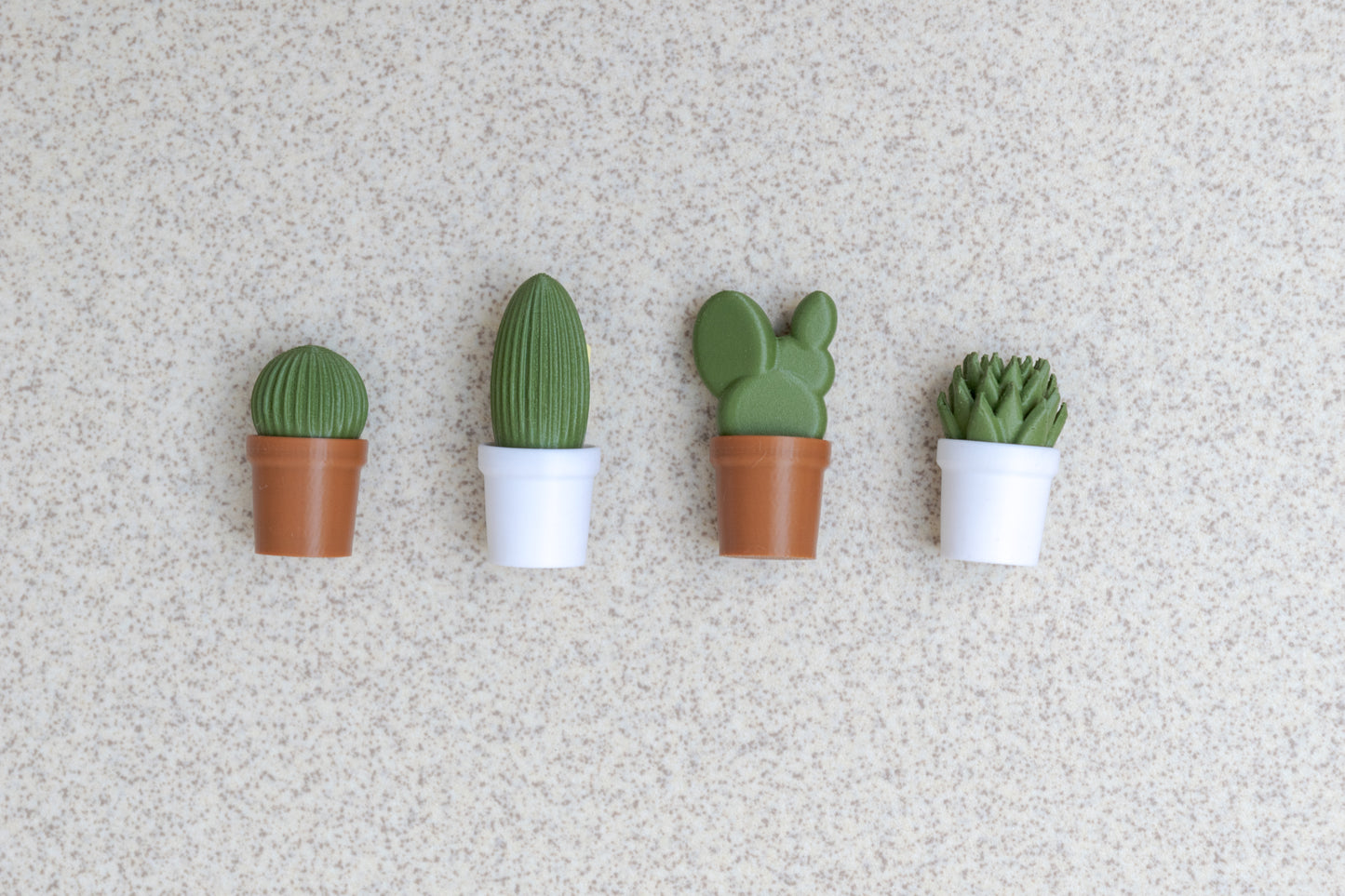 Cactus Magnets
