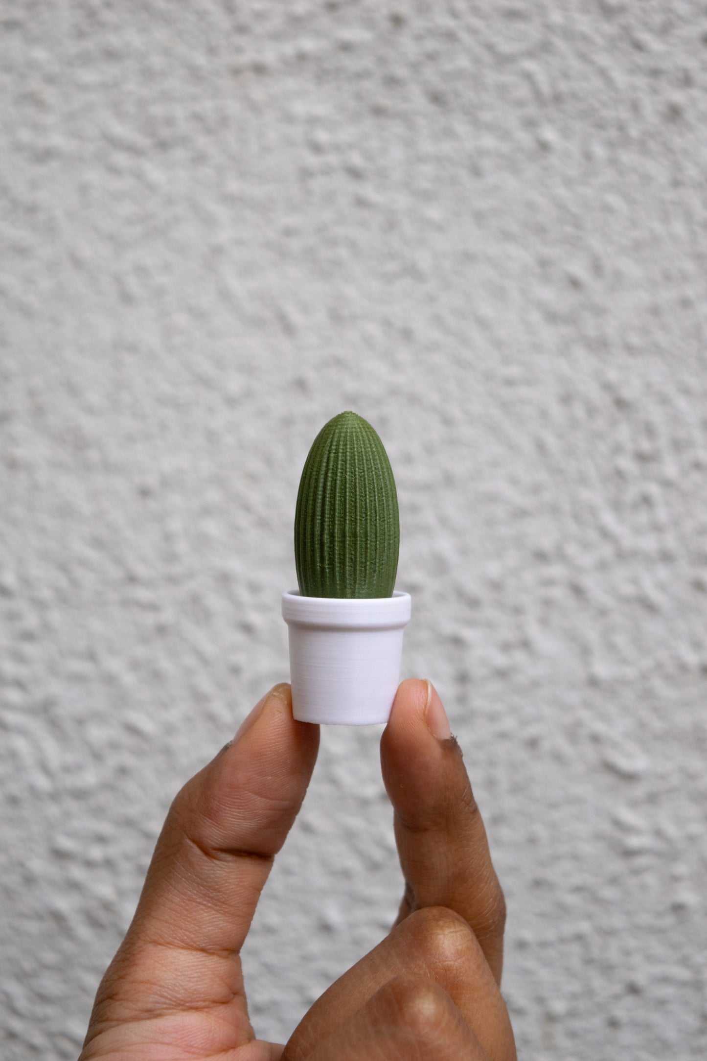 Cactus Magnets