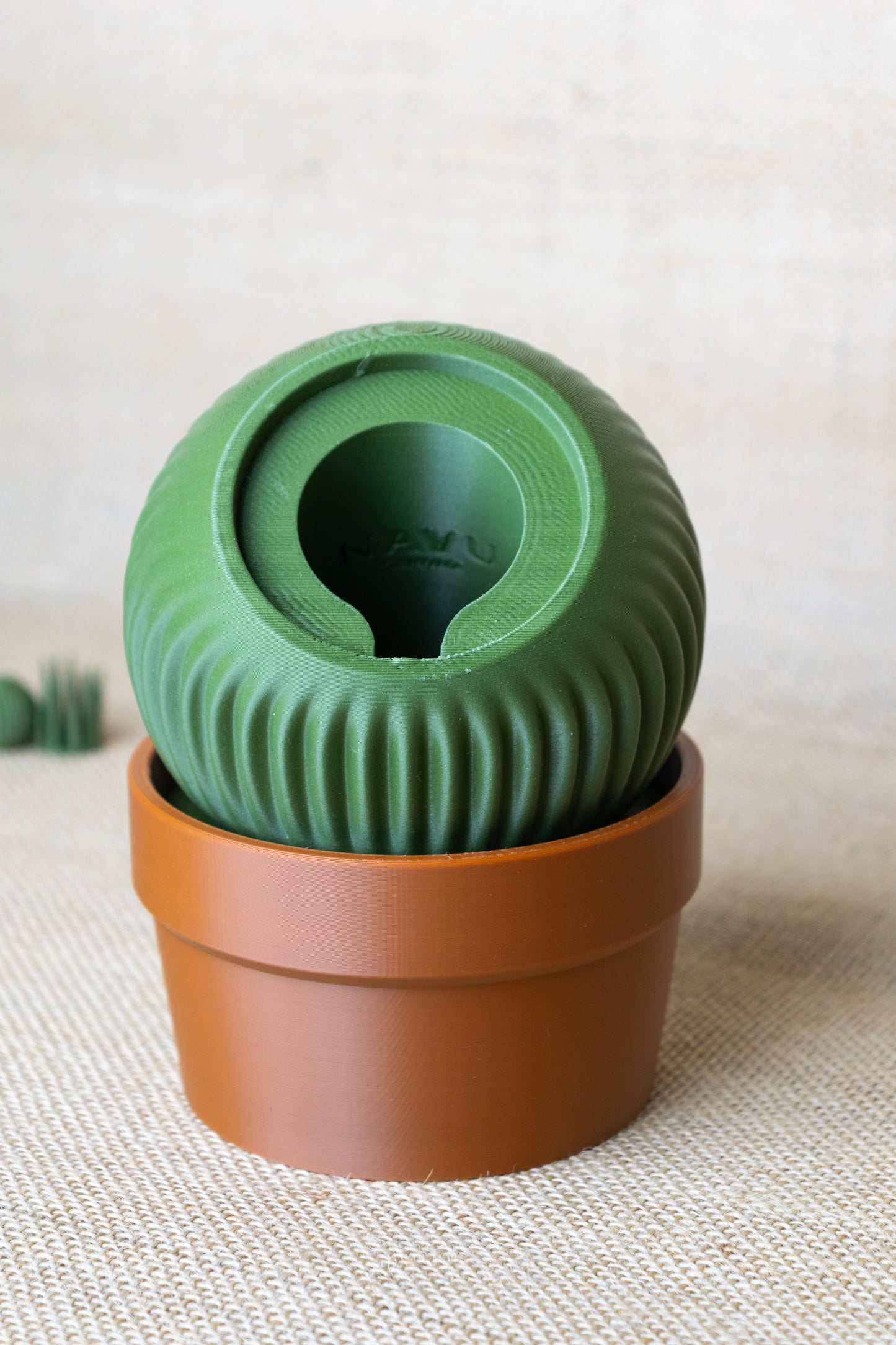 Cactus Mag-Safe Holder