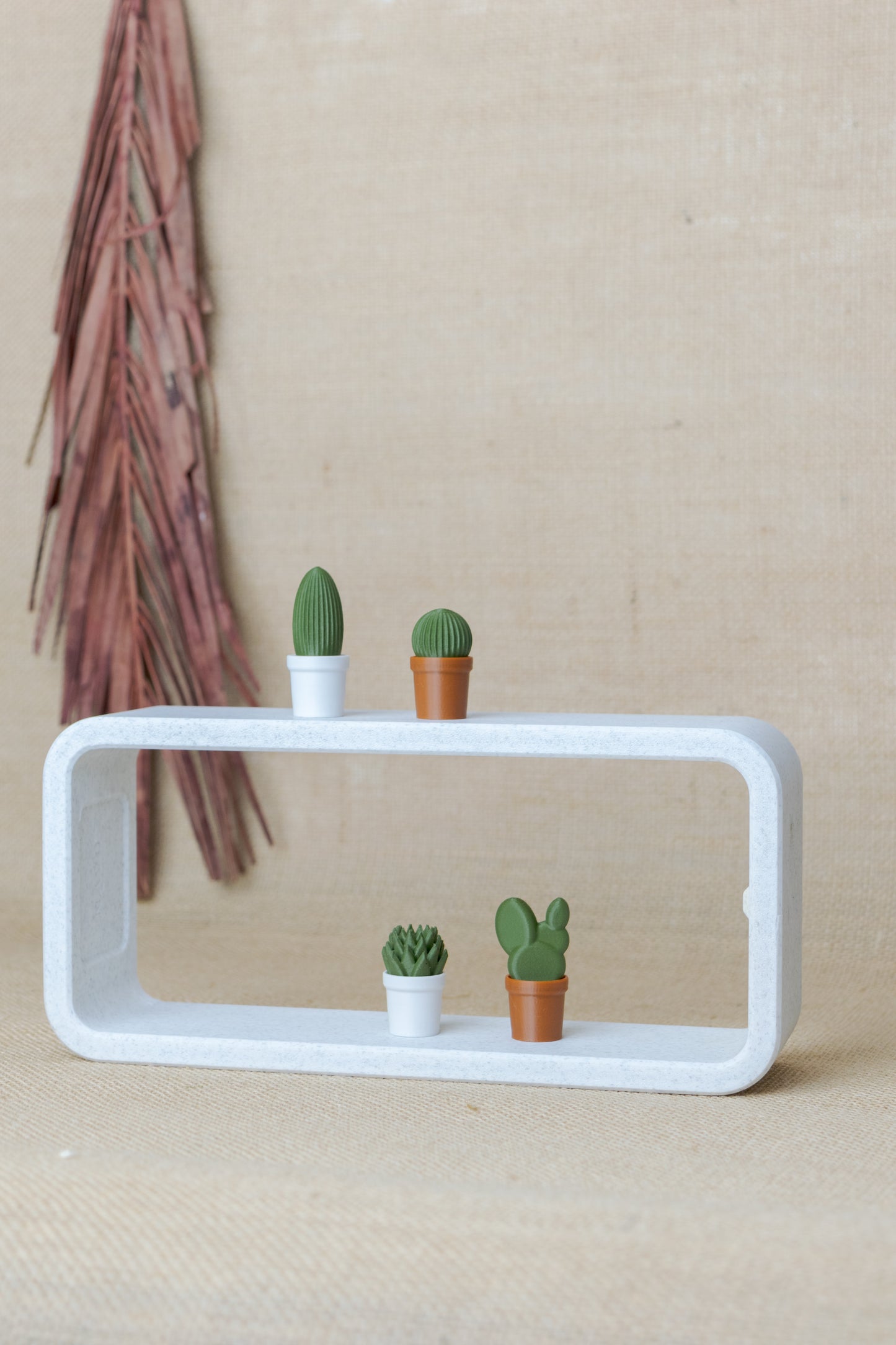 Cactus Magnets