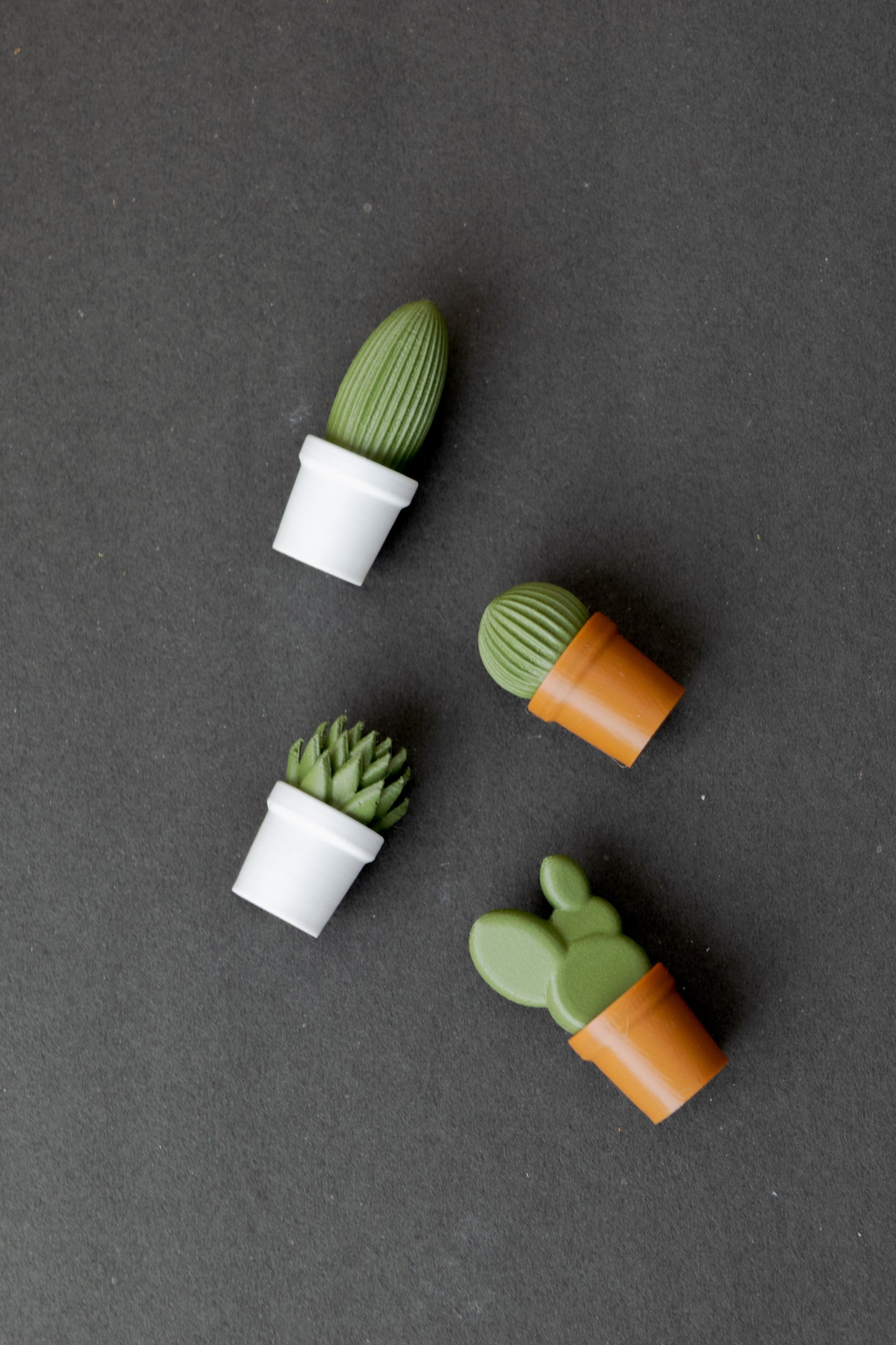 Cactus Magnets