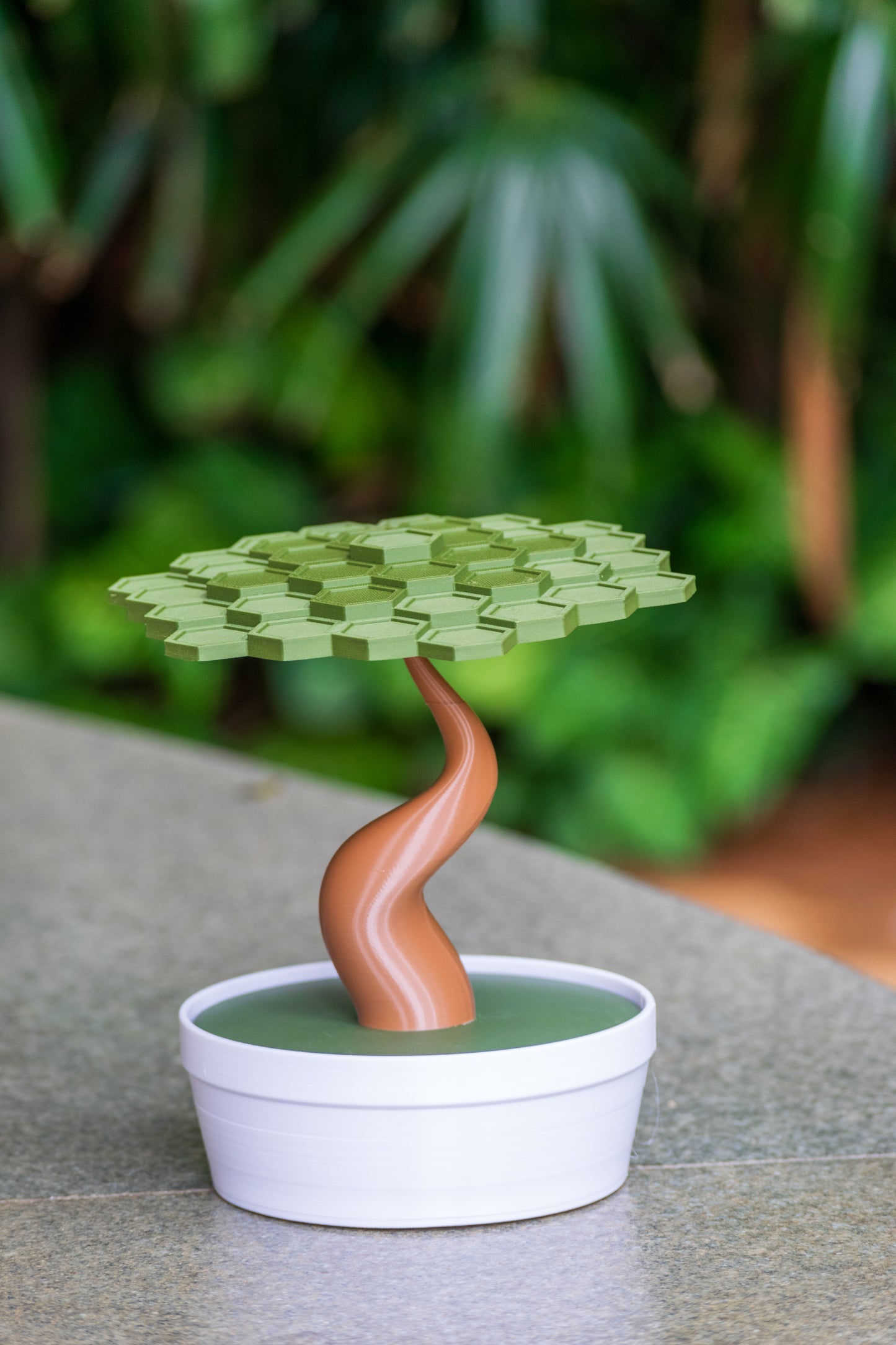 Bonsai Balance Game